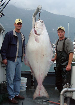 Alaska Halibut Fishing Charters