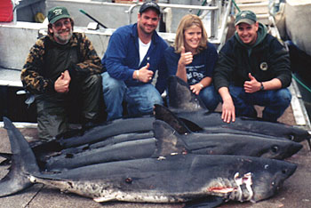 Alaska Shark Fishing Charters