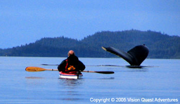 Kayaker and Humback Whale Tail