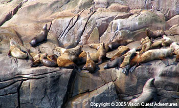 Prince William Sound Photography Tours